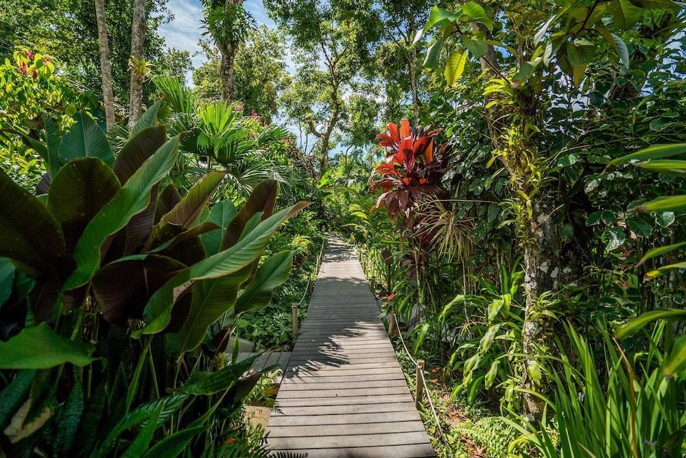 Pousada Do Bosque ปอร์โตเซกูโร ภายนอก รูปภาพ