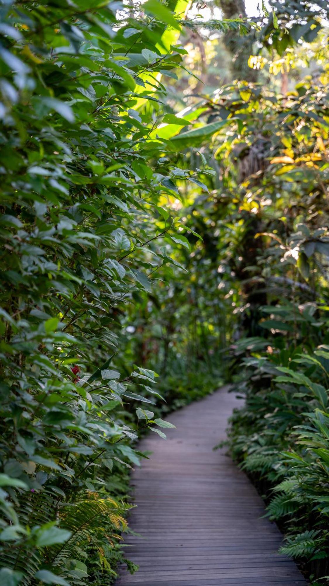 Pousada Do Bosque ปอร์โตเซกูโร ภายนอก รูปภาพ