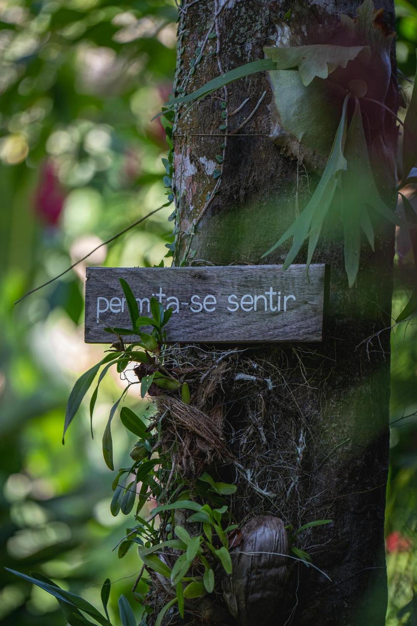 Pousada Do Bosque ปอร์โตเซกูโร ภายนอก รูปภาพ